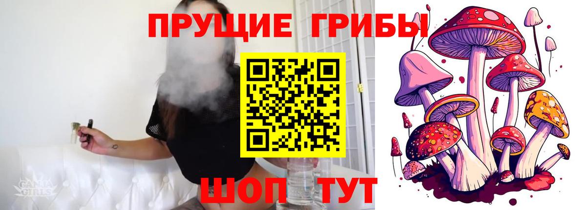 Псилоцибиновые грибы Cubensis  Вход с VPN  Ртищево 